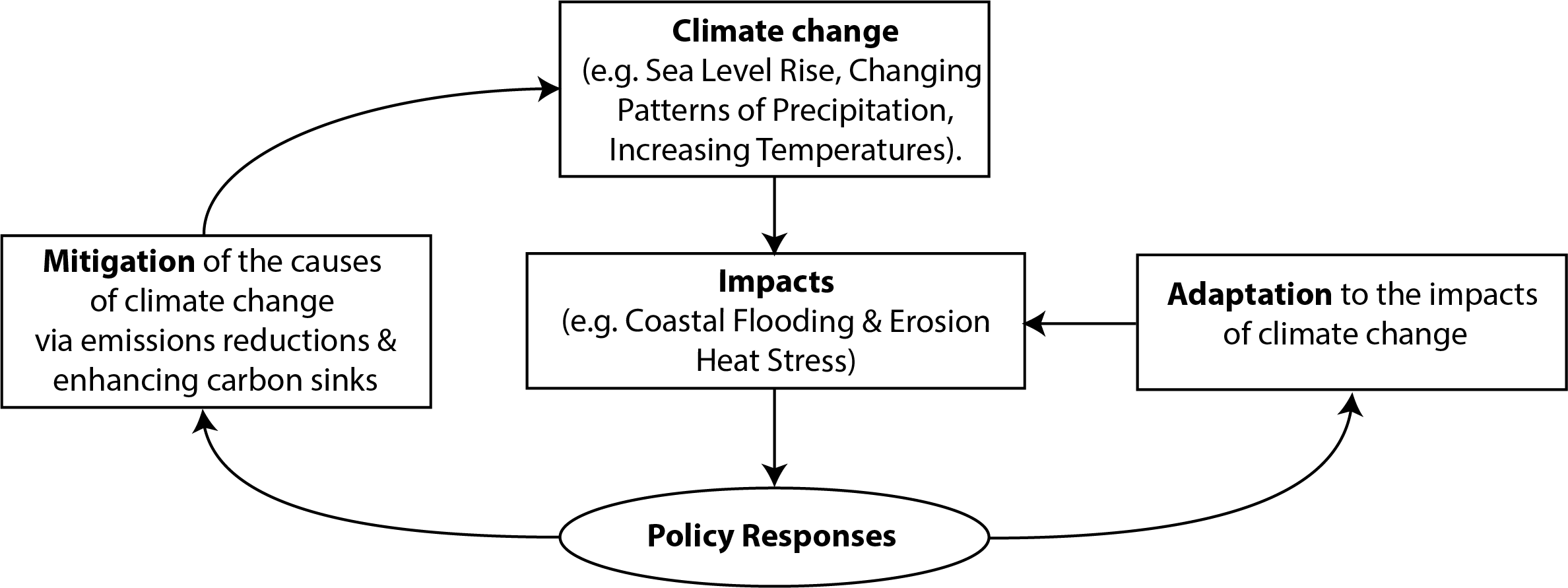 Adaptation mitigation policy responses