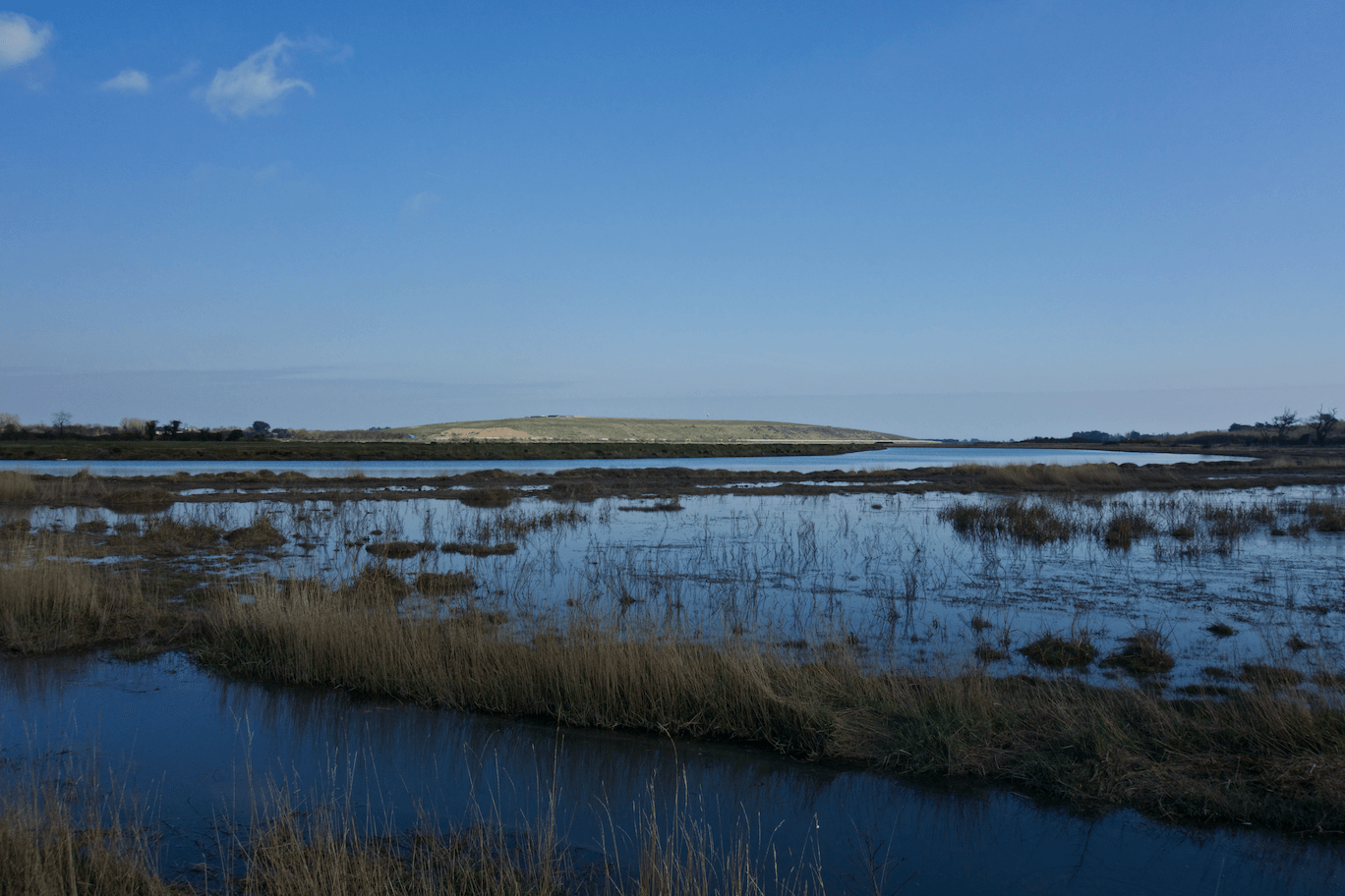 Saltmarsh Rogerstown estuary - natural flood coastal defences